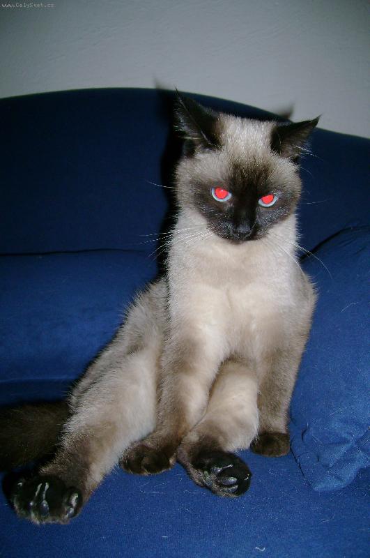 Foto: Nelly