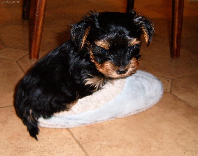 Foto: Max