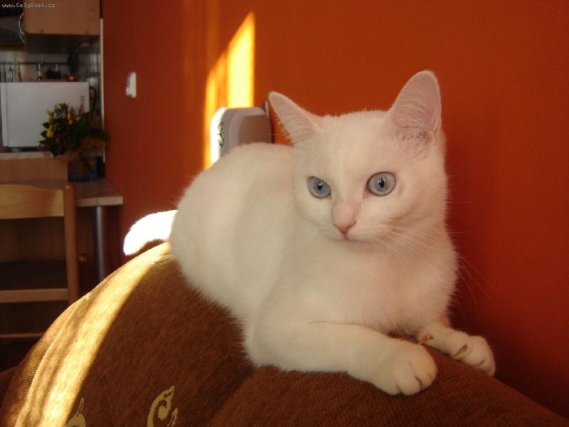 Foto: Karol�nka