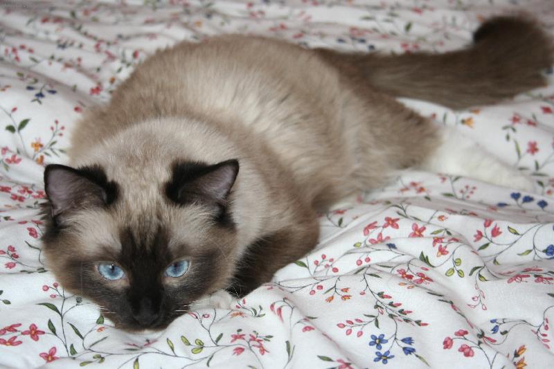 Foto: Vypad�m jako my�!!