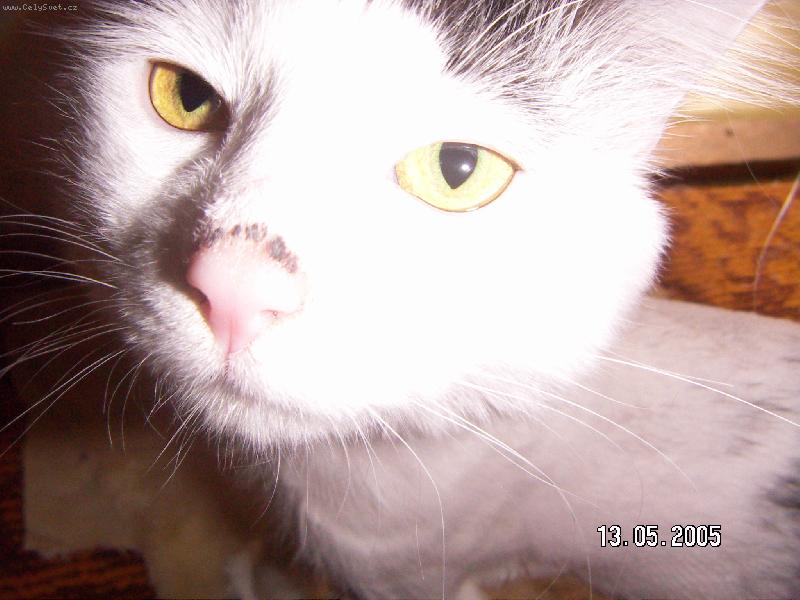 Foto: Boban