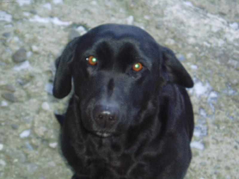 Foto: Eminka-Kuk