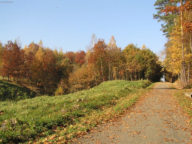 Foto: podzim