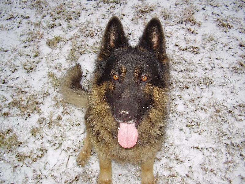 Foto: Argo