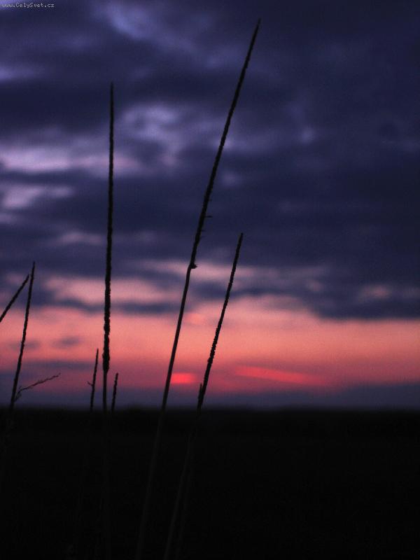 Foto: Barvy slunce