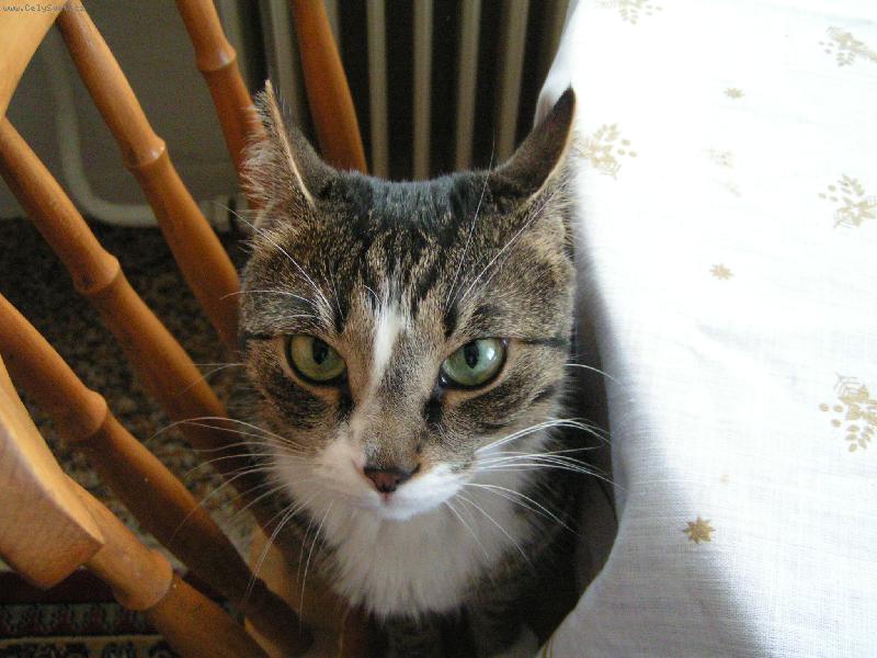 Foto: Majki 2