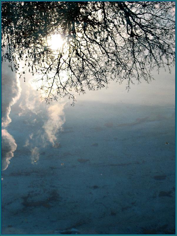 Foto: Odraz v baz�nu