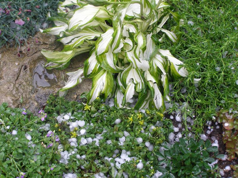 Foto: Po bou�ce s krupobit�m