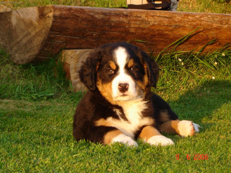 Foto: N� Ba��k :)-Tady hl�d�m j�...:)