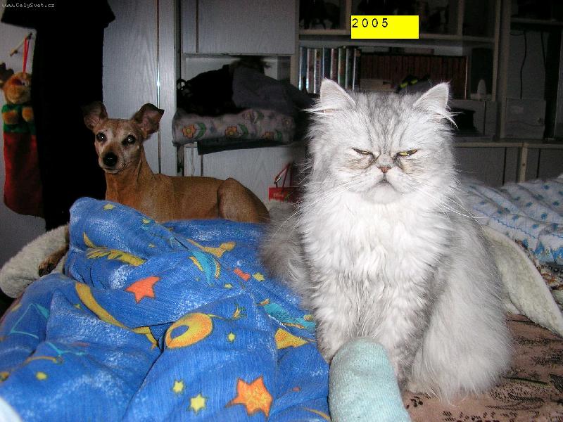 Foto: Pegy-Pegy
