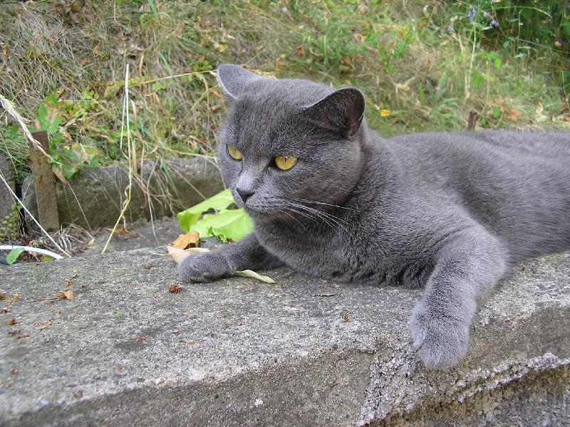 Foto: Micka