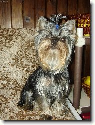 Roz�rka