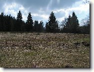Na hor�ch