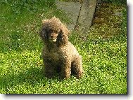 odpo�inek