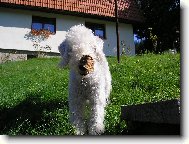 Bar�sek na dovolen�