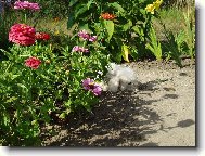 Odpoledn� siesta