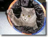 Fanou�