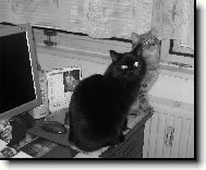 Budeme se l�bit?