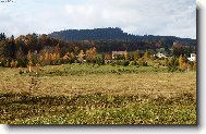 Osta�