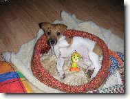 Odpo�inek