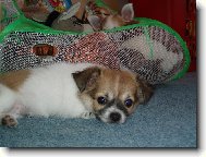 odpo�inek