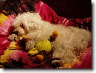 spink�m