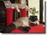 odpo�inek
