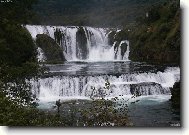 �trba�ki buk