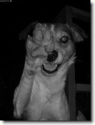 D�v�m pac :)