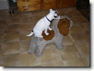 Na�e Agnes