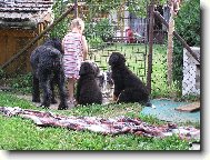 Pus�te n�s..