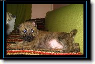 J� jsem D�enka a todle je m�j pup�k:)
