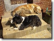 Odpo�inek