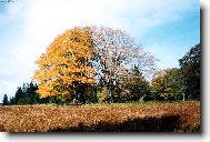 Soum�rnost
