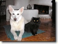 v�dycky jsme v�ak nebyli p��tel�