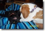 Lucka a Charli