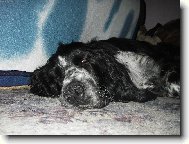 Ar�i uplne mimo