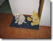 �a�inka:)