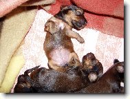 Spink�m:-)