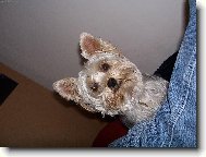na�e  Bettynka :)