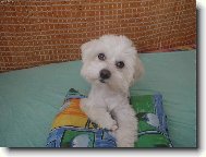 Max�k