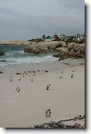 Jihoafrick� republika