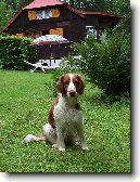 Vel��pringr�pan�l