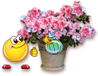 V�ce smajl�k� ke sta�en�