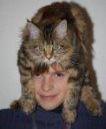 Chovatelska stanice ps�: REDI CATS, SK