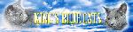 Chovatelska stanice ps�: KINGS BLUE CATS, CZ