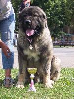 Chovatelska stanice ps�: BAINTHA BRAKK