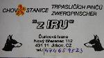 Chovatelska stanice ps�: Z IRU
