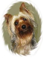 Chovatelska stanice ps�: INDIGO GENERATION