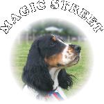 Chovatelska stanice ps�: MAGIC STREET